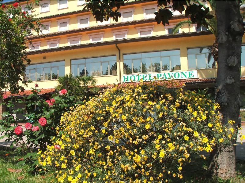 Grand Hotel Pavone Cassino Exterior foto